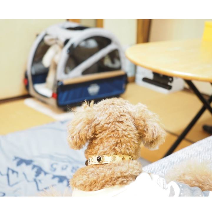 Ed7c8b97 234a 42f4 b46d 42884bf2e927 1589379639524