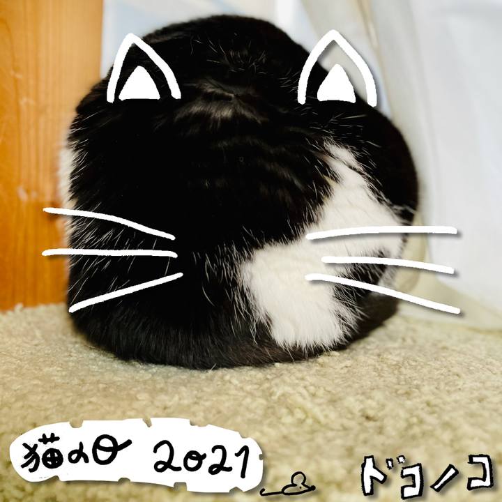 Ed7ca661 9e8a 4ed0 b7ec 893d27c3615f 1613964810167