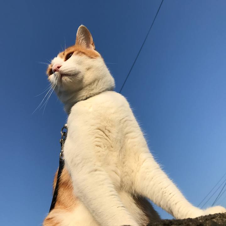 Ed7ce731 27d4 4ccb 8649 fba769dd454c 1528017709874