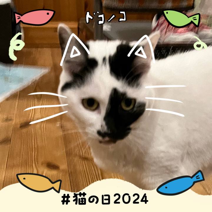 Ed7d05cd ccc8 4307 829e d681888b4c68 1708613959129