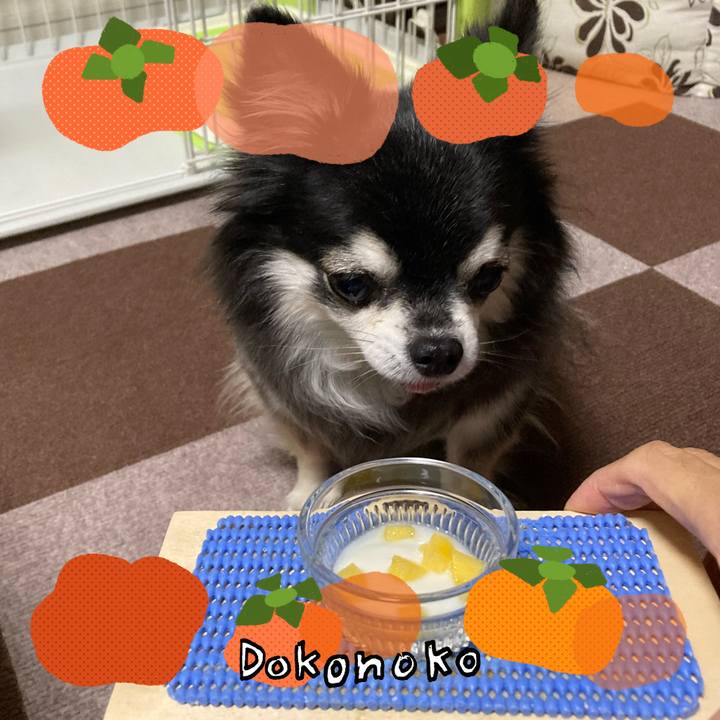 Ed7d522d 71c9 4f69 bb85 db7559b31b6a 1762517941269