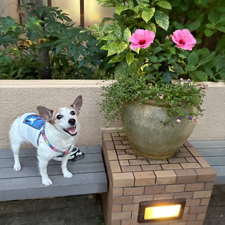 Ed7d57b1 7db1 4fda ab52 9b5fb2aec9b9 1755645484560