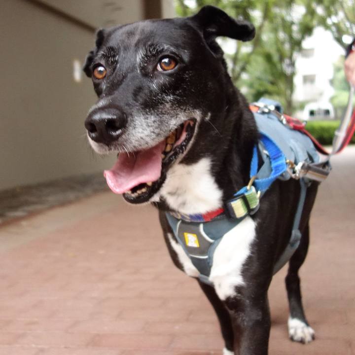 Ed7d747e c2b8 4823 b77b fbfb97d73e67 1727402053343