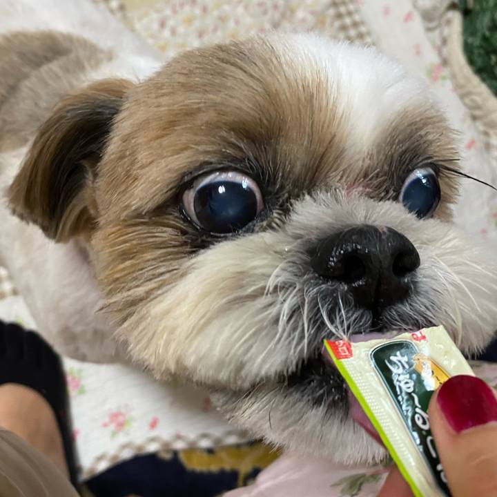 Ed7d85c3 7795 40bf 8d2e a84c1b3b416e 1595649064914