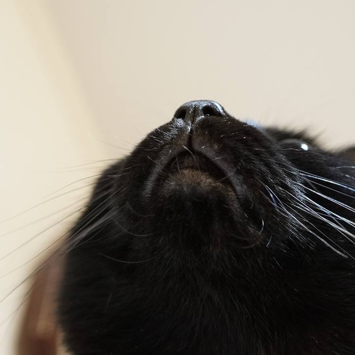 Ed7d8d49 69c5 41ec b84a ce322e85b8b4 1559397866421