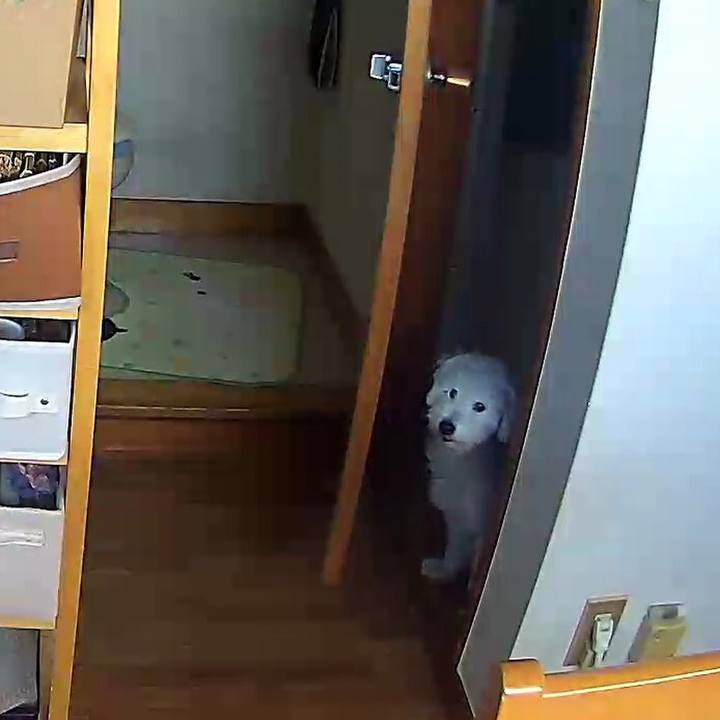 Ed7d9f44 764c 4096 942d d0272a56aadf 1603255835150