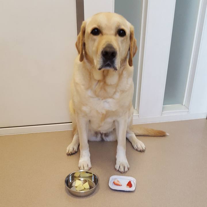 Ed7db35b e925 4fd9 bfbf fb22204425a1 1515741169645