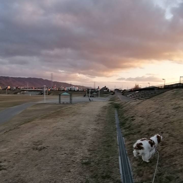 Ed7e7bad 3745 424c 8531 60012791410d 1579598168923