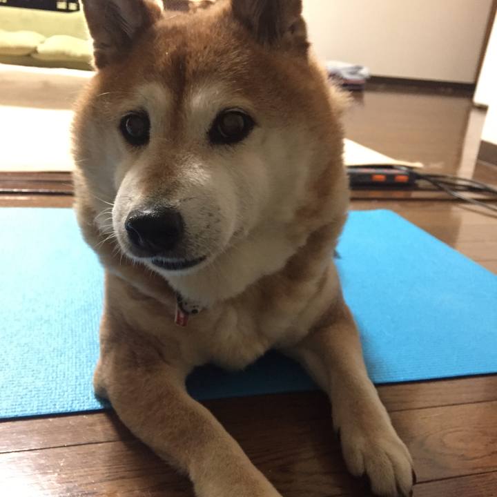 Ed7ecd36 bcdf 437f bed3 058b9e1675e1 1525181291098