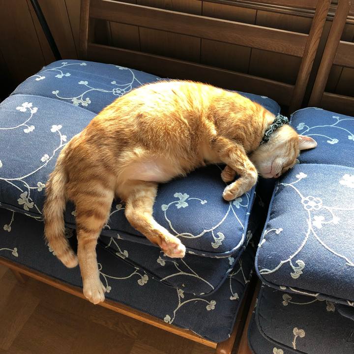 Ed7f242f e5db 485a 84f9 740d840d221a 1556955740342