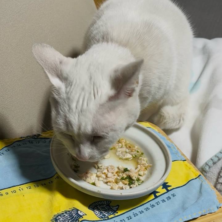 Ed7f659f 59b1 49f3 9db3 d7ec8079e0f8 1767610435951