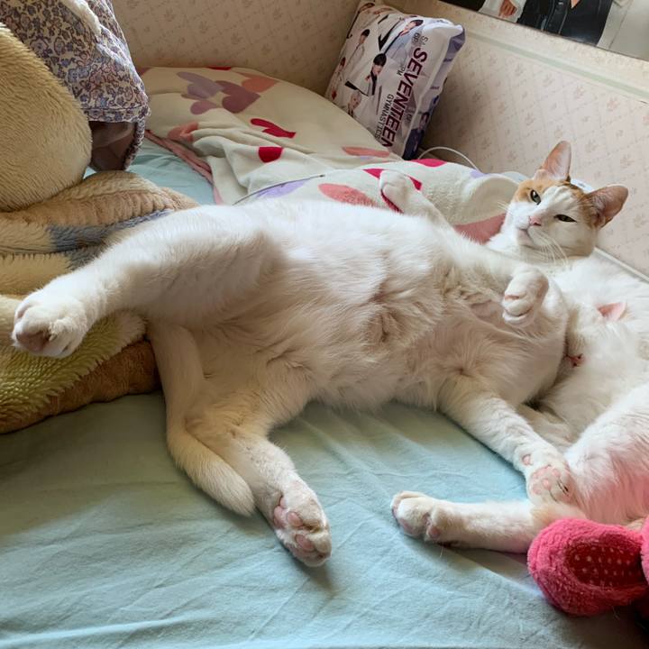 Ed7f6661 e4c7 46bd b390 2cf634fae843 1622460946769