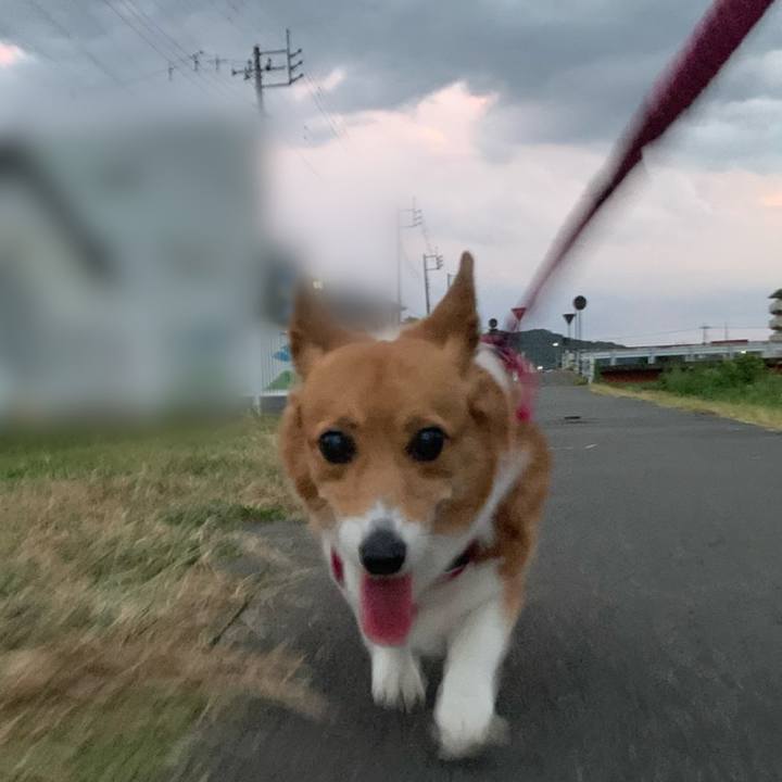 Ed7f6cee f903 4fc4 a7b8 78f9e5631da1 1693649668742