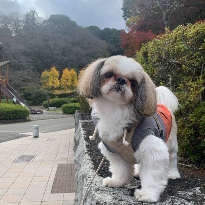 Ed7f7990 c531 44c1 9c9b f7a156783c85 1669555816678