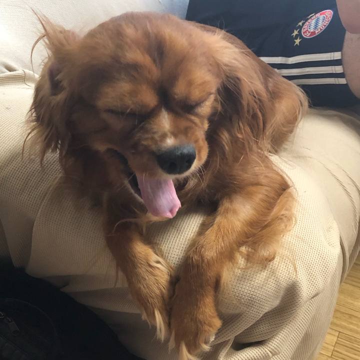 Ed7f7b81 97db 46b4 a1d7 787fa36ce2e1 1565388691869