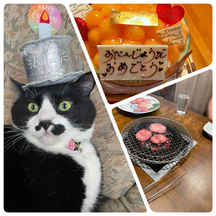 Ed7f86e1 e70c 4e37 aa9d 25af0df47cbb 1693180638426