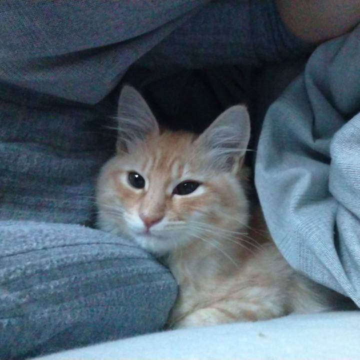 Ed7fdec8 0290 49d0 b89d 914ed67be700 1608933830383