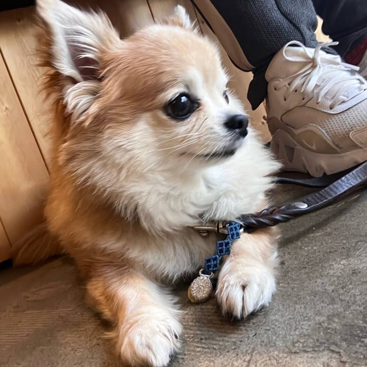 Ed7fece5 d760 44d9 bfe3 e01b0c422a70 1763343694111