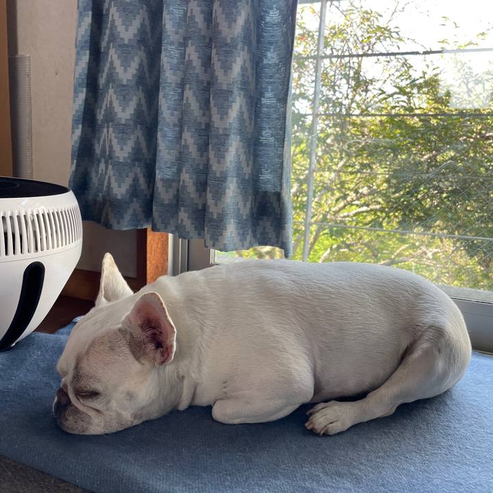 Ed7ffb1d de9d 47db a752 aab53208a0ed 1754349392011