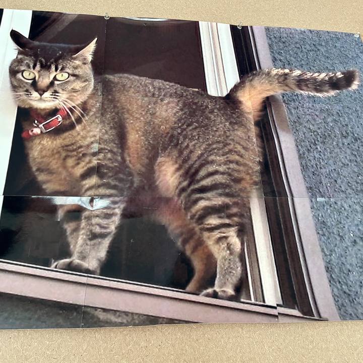 Ed80280a 4016 4151 8603 d5b137b5540a 1768625352221