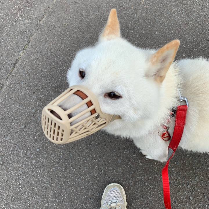 Ed803c48 ee65 47aa a77a 32ebed4f7050 1562795855755