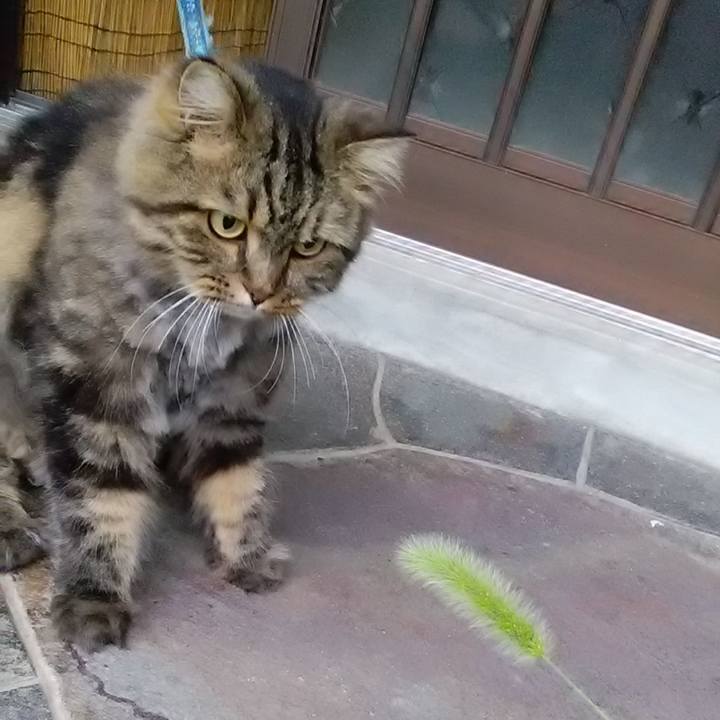 Ed806e83 48c2 4226 8e3a 73a84f037742 1631591834512