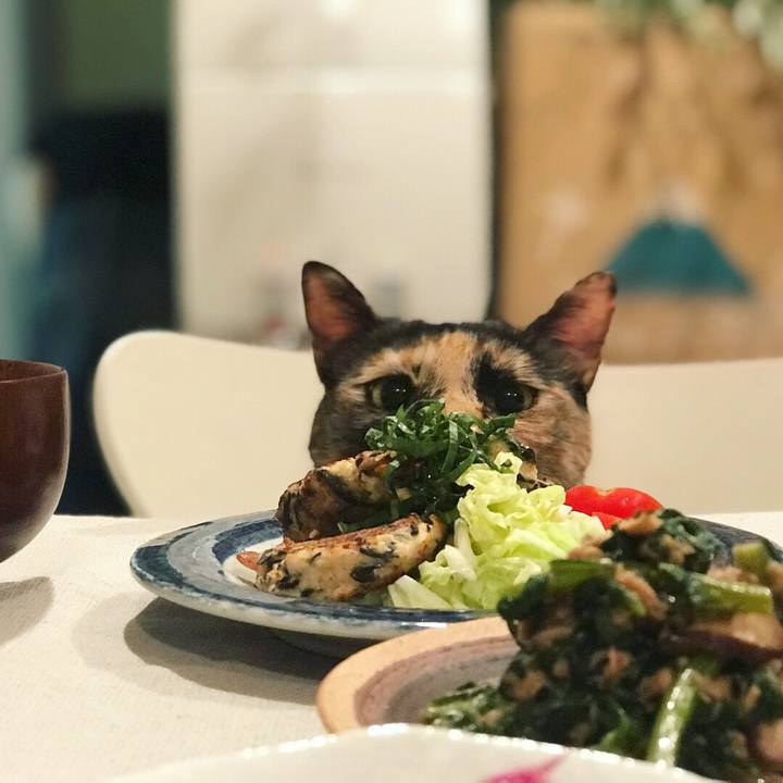 Ed808224 ddf0 4f75 bb45 0dfd6ea2d937 1507803269827