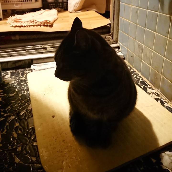 Ed8083dc 8099 4505 8247 e677c1be9100 1640511357872