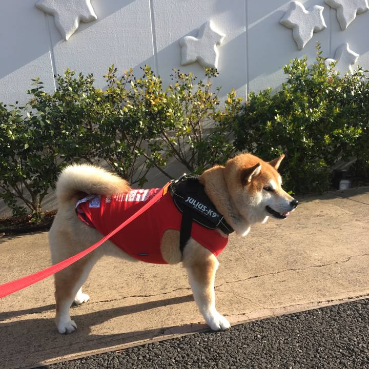 Ed80d0ce e23a 4eea 9887 e5699eb76b16 1575194267633