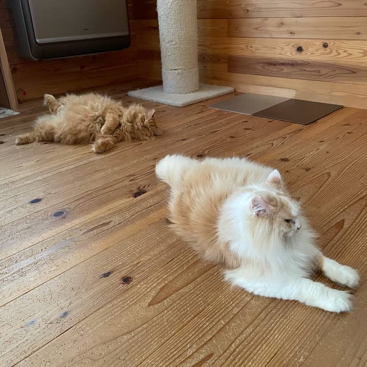 Ed80da7a dd0f 4320 a5c0 95122b2ec0cb 1695252053481