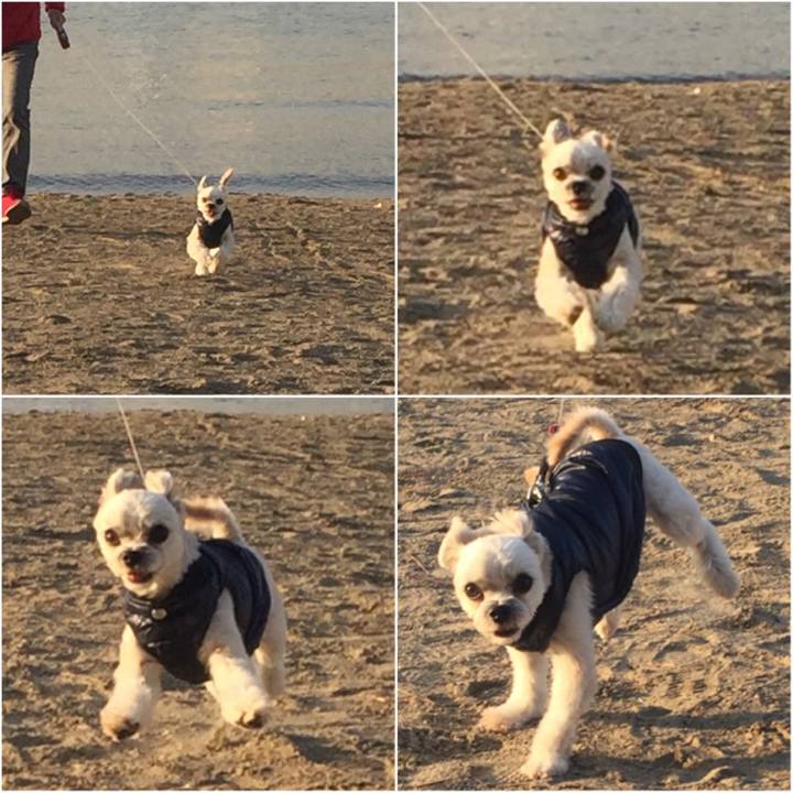 Ed80efc8 e783 4702 870c 57aba8fab0bb 1544267324418