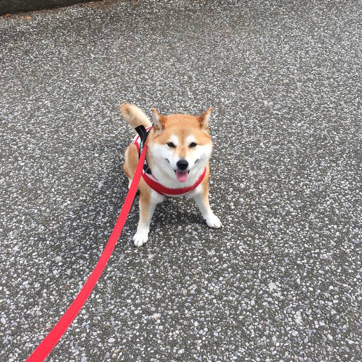 Ed810c3b 9bfd 489f b981 f5bae491be3a 1592439338589