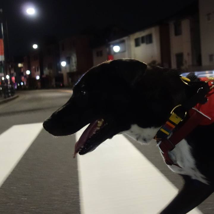 Ed8112e1 71b3 4334 b68d 683cae101c2a 1602412241669