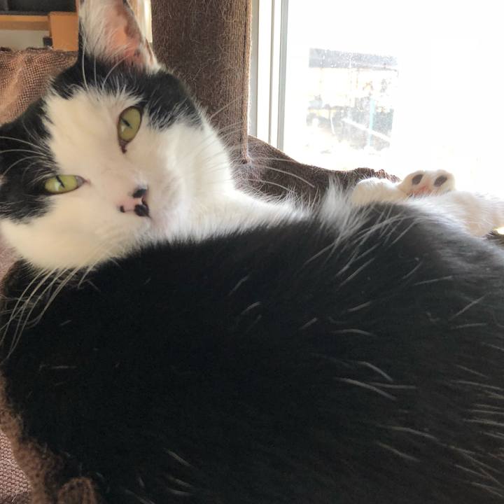 Ed813480 4dee 4823 8aa6 887275a1cf11 1555818828837