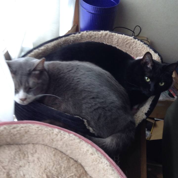 Ed8165db f27f 4061 8aef 5a1f0d4b55aa 1552280986484