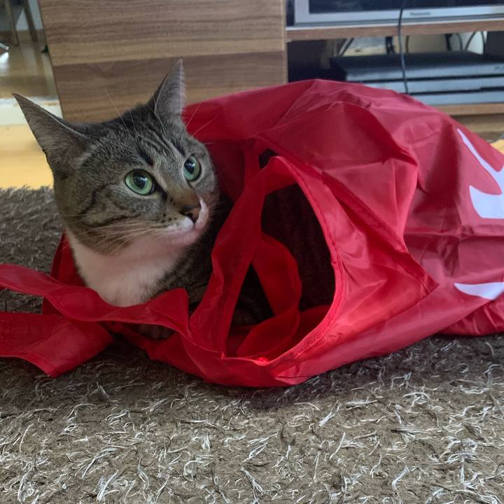 Ed81c9cc 02ef 476e a655 7b392ccec9fc 1644540600582