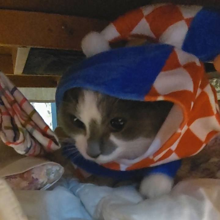 Ed81cdee 6d0e 41c5 8781 056e948e2096 1573373890436