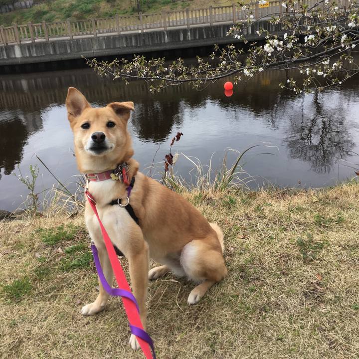 Ed81d01b b6b8 49e6 ad9f 708686dffd98 1553158517917