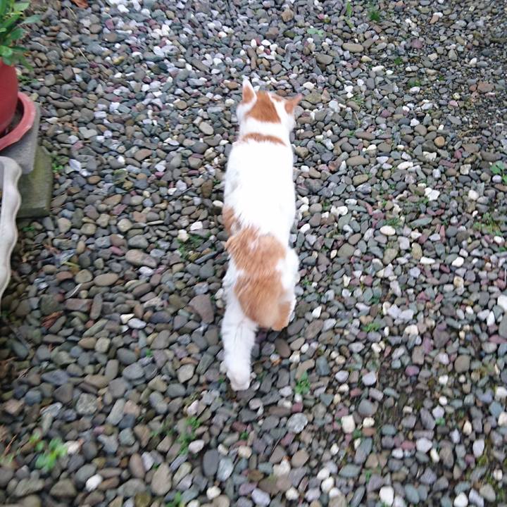 Ed81dd8a eb2d 4cb9 893c 5b43e6bc42c3 1600468767506