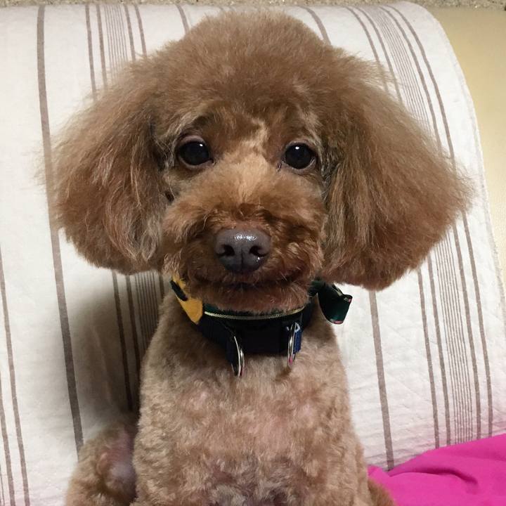 Ed8249d2 4f0e 4237 8ccb 61240b11a0a1 1541505556108