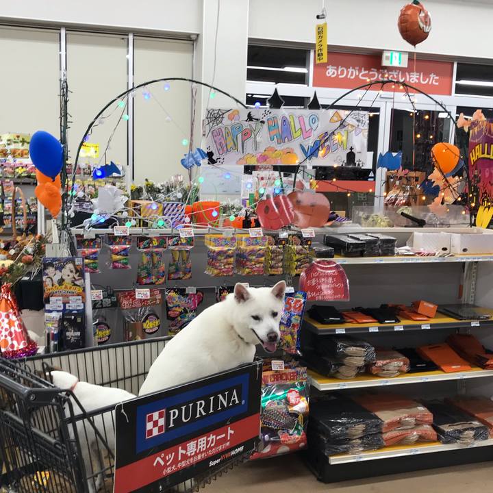 Ed828922 5ebf 492e 8688 90ee359b41da 1540635373535