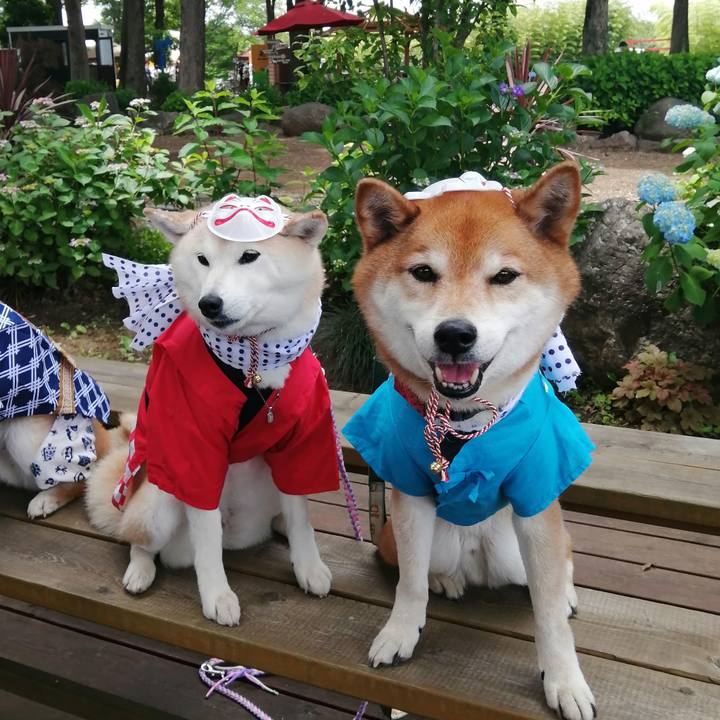 Ed82afb0 5ed8 485c bd65 dc5903bea828 1685426111735