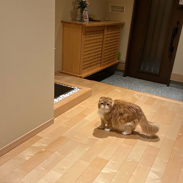 Ed82db26 7966 453e b382 acd833da3503 1771498024899