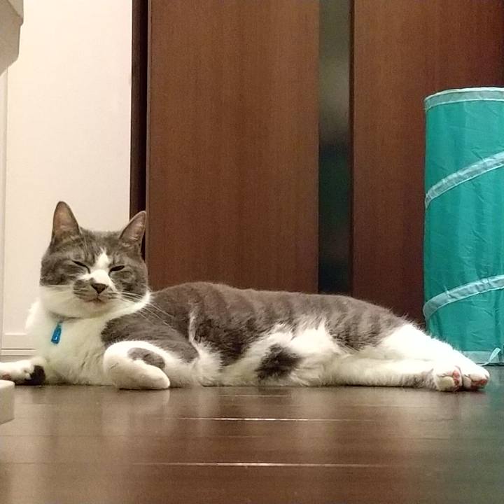 Ed82e7a9 1127 4322 8d6b 8e4fa828e47b 1609887652774