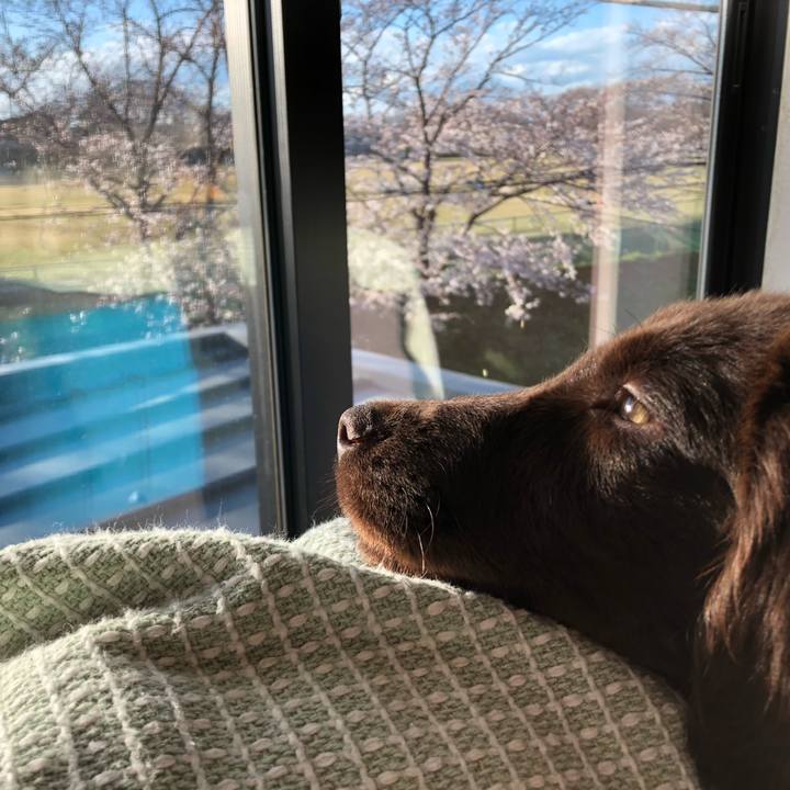 Ed82eafd 538f 4827 b59a 785dddf89b00 1554044706408