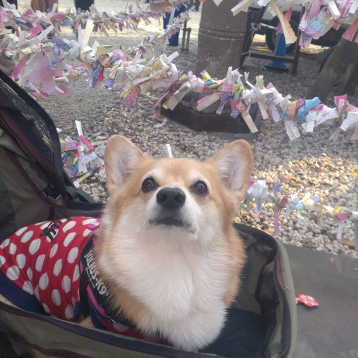 Ed82ec1d 7a2b 40a7 9afa 66b213679ad7 1735906115092