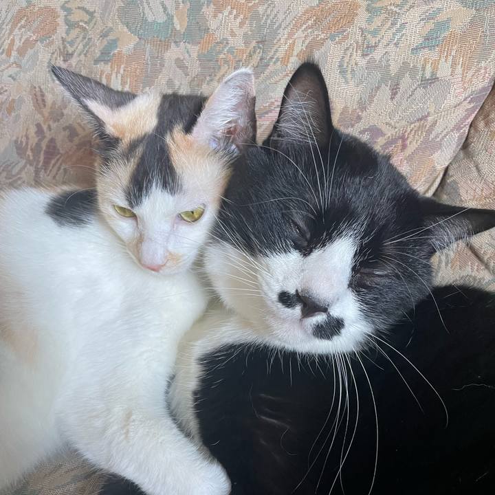 Ed83304d 9d49 4661 911e 969901793b0c 1694671474964