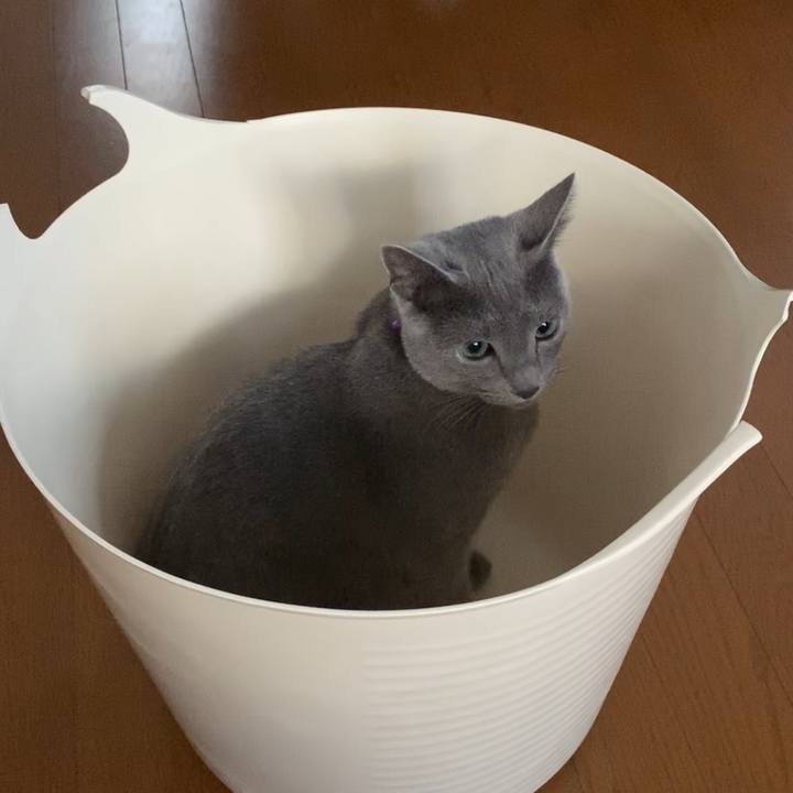 Ed8338c3 1011 4d38 a646 ec2db4e3b8c5 1575105091485