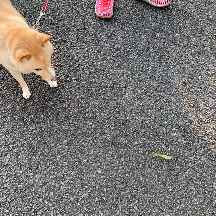 Ed835b27 5334 46ae 97a2 07576e4f1763 1632448104756