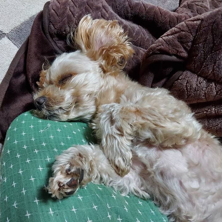 Ed837a85 ce4e 4adf b6c8 ee3f1eb14231 1638453846217